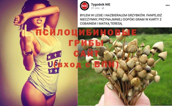 гашиш Алексеевка