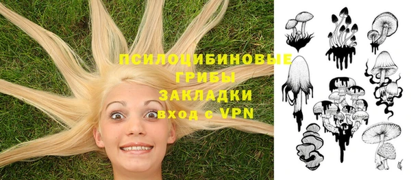 марки nbome Аркадак
